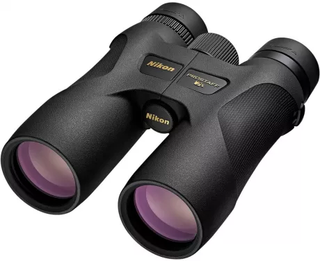 Fernglas zur Vogelbeobachtung (8x42)