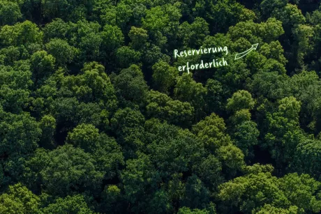 2 Gutscheine für den Waldhochseilgarten Jungfernheide