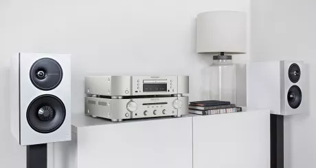 Definitive Technology Demand-Series