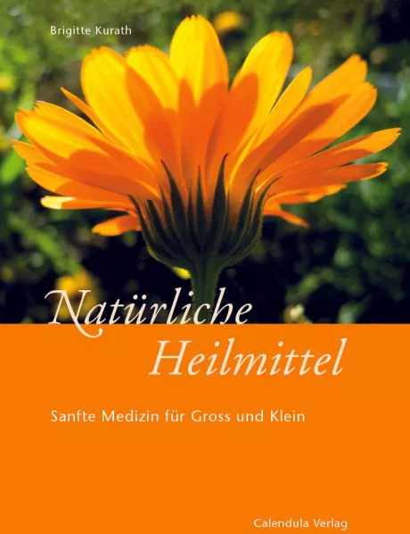 Natürliche Heilmittel Buch - Brigitte Kurath– Ladyplanet CH
