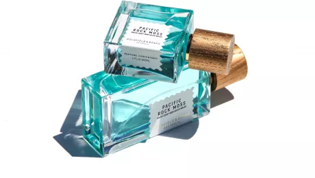 Pacific Rock Moss – eu-goldfieldandbanks.com