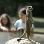 Gemeinsamer Besuch im Mundenhof in Freiburg