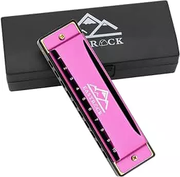 EastRock Harmonika C-Dur Harmonika mit Box 10-Loch Harmonika für Schüler, Fortgeschrittene und Anfänger (10-Loch, Lila) : Amazon.de: Musikinstrumente & DJ-Equipment