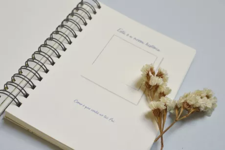 Livro de Recordações da Gravidez