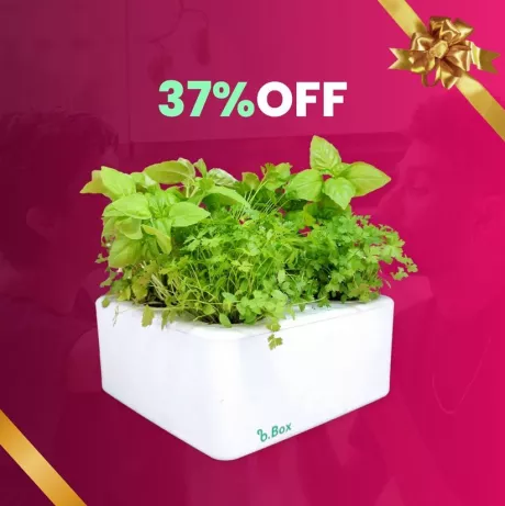 Brota Company - Brota Box Horta Inteligente