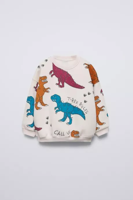 SWEATSHIRT MIT DINOSAURIERN - Eis | ZARA Deutschland / Germany