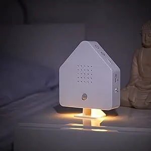 Northpoint Natur Soundbox, Vogel, Gesang, Vogelzwitscher, Box, Bewegungsmelder, Vogelsound, Licht, wiederaufladbar mit Wandhalterung, weißes Häuschen : Amazon.de: Küche, Haushalt & Wohnen