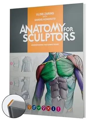 Anatomy For Sculptors, Understanding the Human Figure : Amazon.de: Bücher